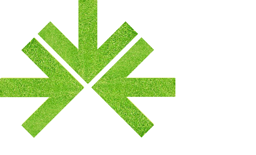 Logo fundo 2