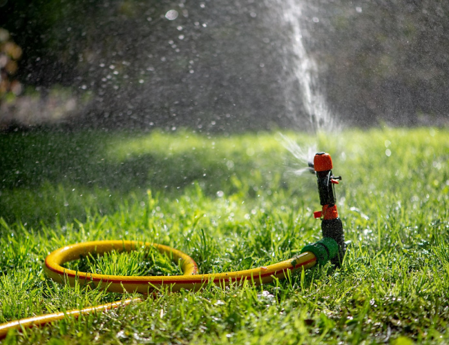 Irrigação de Grama_ Frequência ideal e técnicas de rega